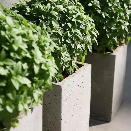 Soso Anastasia Star Hersonissos  Ngoại thất bức ảnh