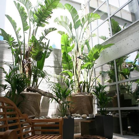 Soso Anastasia Star Hersonissos  Ngoại thất bức ảnh